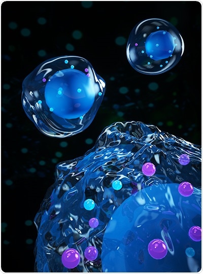 Study reveals the role of embryonic stem cells in cell repair