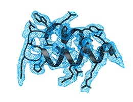 Study shows how the coronavirus disarms the body’s innate immune system