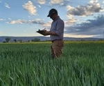 An effective strategy to increase zinc concentration in grains