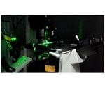 Study shows how motor proteins function in their native crowded cell environments