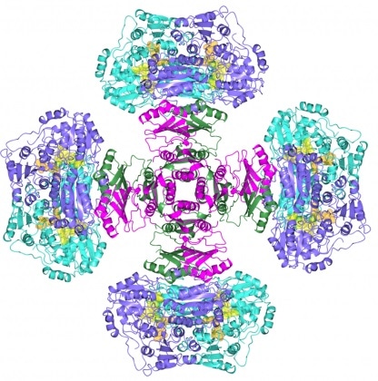 New study may lead to advanced treatments for infections