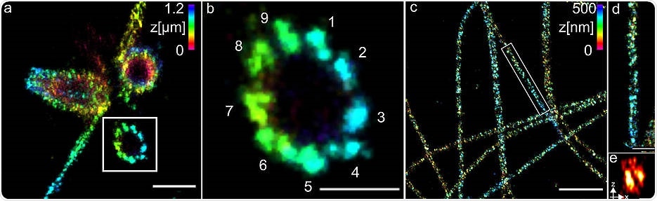Super-Resolution Microscopy Methods Reveal the Smallest Cell Structures