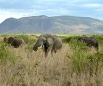 Researchers develop new model to assess the role of ecological engineers