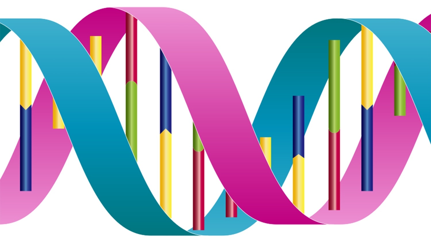 Study shows how proteins prevent DNA replication errors