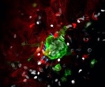 New study can help treat metabolic and genetic bone diseases