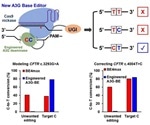 New technique increases the precision of gene editing