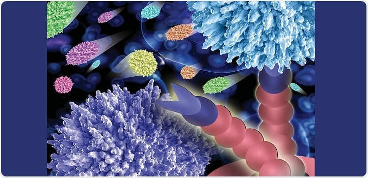 New assay helps study adhesion of cells