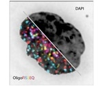New technology helps visualize entire genome at molecular resolution