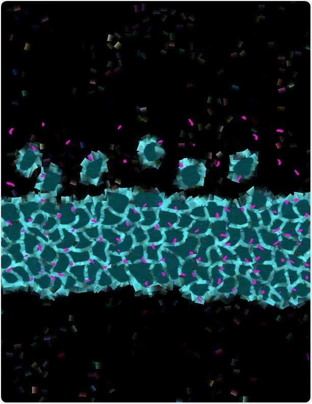 Novel therapeutics targeting primary cilia may reverse neurodevelopmental disorders