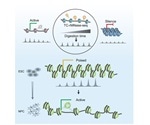 New tool predicts and identifies novel genes involved in various biological processes