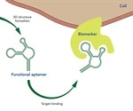 What are Aptamers?
