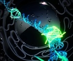 Researchers image the formation of four-stranded DNA in living human cells