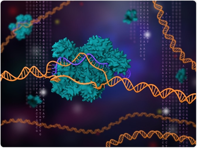 CRISPR-Cas9 Technology CRISPR-Cas9 Technology