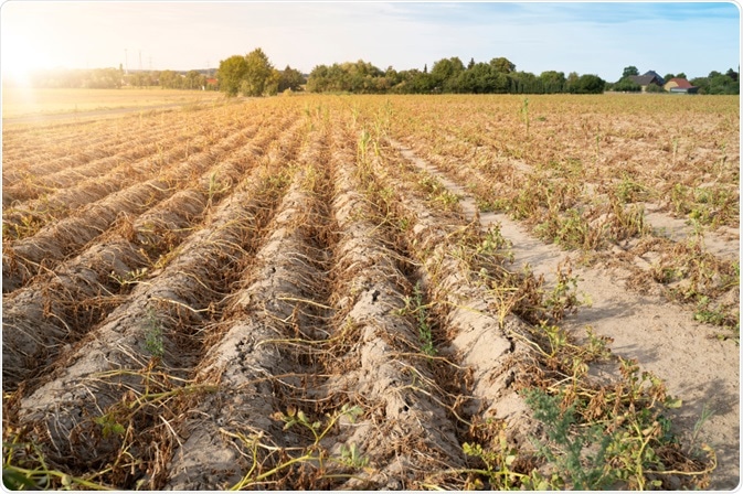 Dry Climate Dry Climate