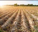 A Guide to Improving Crop Production in Dry Climates