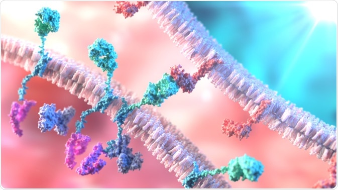 CAR T-Cell Therapy CAR T-Cell Therapy