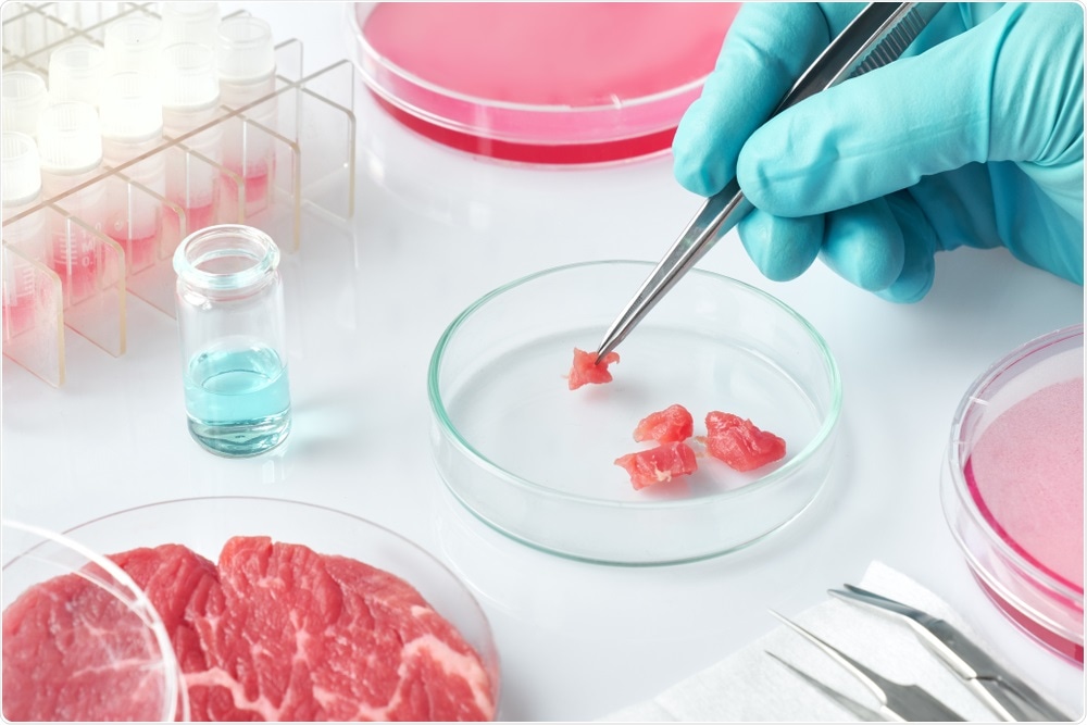 Cultured Meat Concept Cultured Meat Concept
