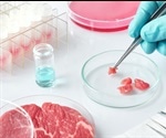 Importance of Sustainable Food