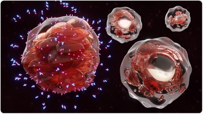 Cancer Cell Surrounded by Antibodies and Cytokines Cancer Cell Surrounded by Antibodies and Cytokines