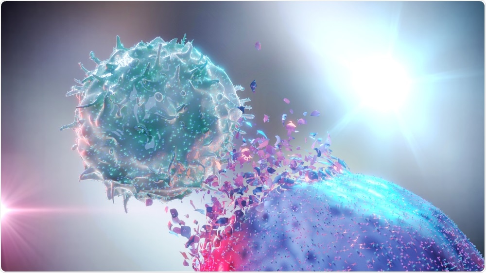 Natural Killer Cell Natural Killer Cell