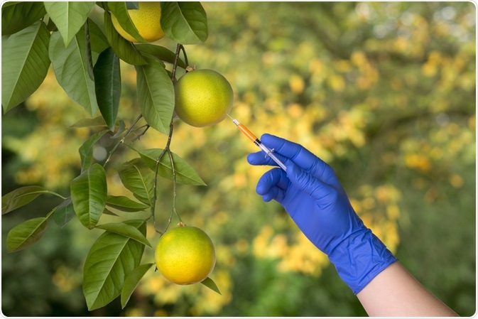 Genetically Modified Fruit Genetically Modified Fruit
