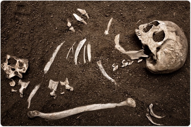 Buried Bones Buried Bones