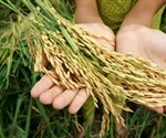 Food Science and Artificial Intelligence