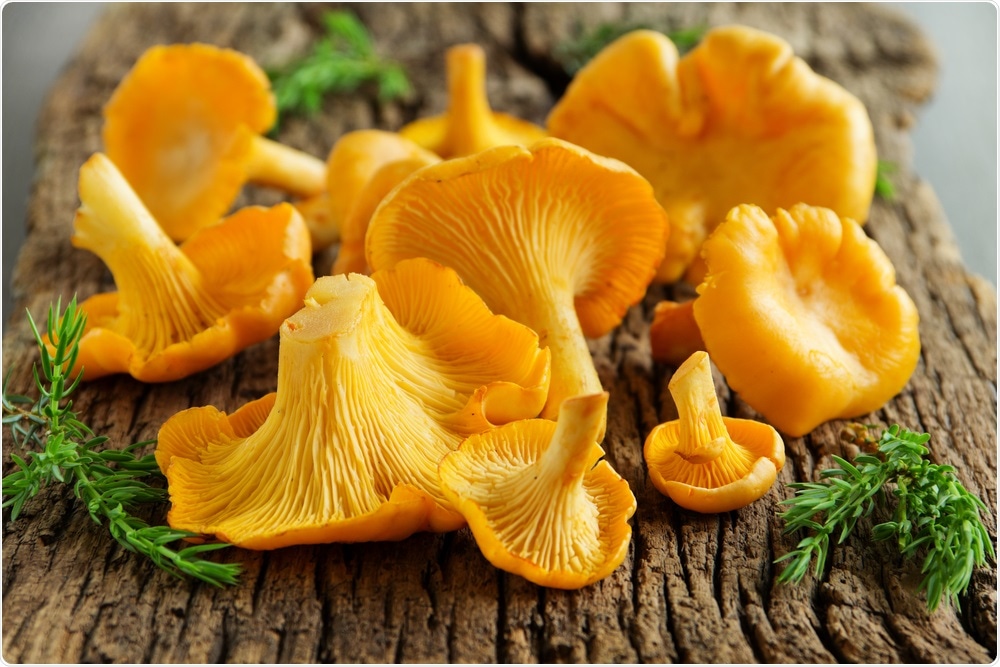 Chanterelles Chanterelles