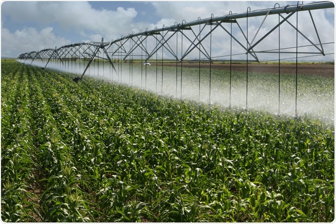 Water Management Water Management