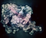 What is Protein Ubiquitylation?
