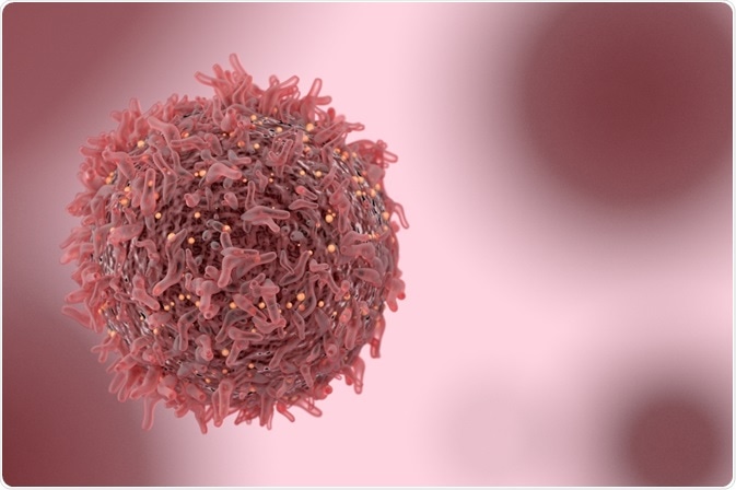 Cancer Cell Cancer Cell