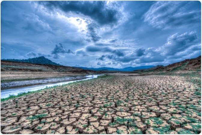 Climate change on land Climate change on land