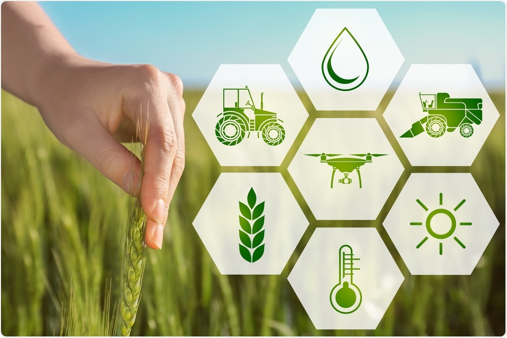 Sustainable Farming Concept Sustainable Farming Concept