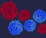 Study reveals new strategy to reduce tumor growth
