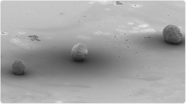 Researchers use 3D printing to produce cardiomyocytes from stem cells