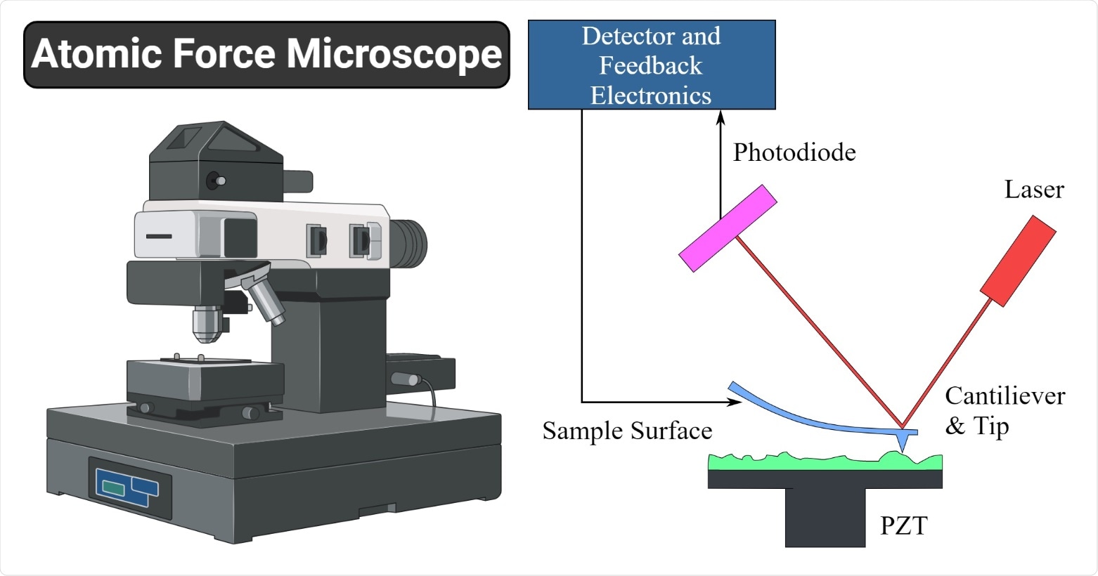 Atomic force microscopy Atomic force microscopy