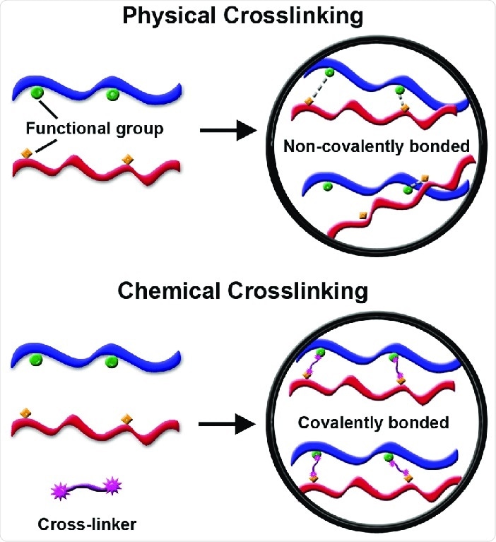 Chemical Crosslinking Chemical Crosslinking