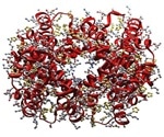 Researchers solve debate on molecular events involved in the process of respiration