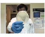 New method reverses antibiotic resistance in certain bacteria