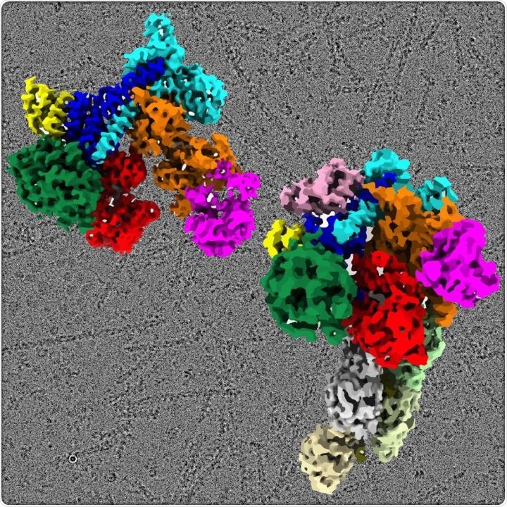 Protein structural study may lead to more improved research on disease development