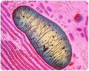 New fluorescent probe to detect damaged mitochondria could help treat neurodegenerative disorders