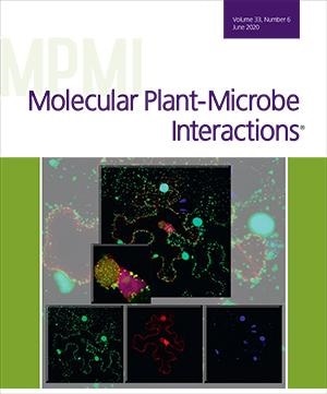 Novel method to enhance biological nitrogen fixation in modern soybean cultivars