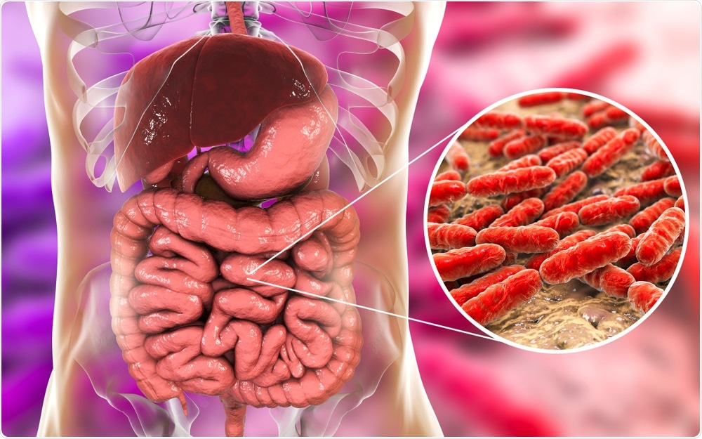 Gut Bacteria Gut Bacteria