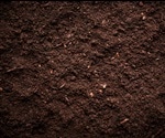 Blind spots of soil biodiversity