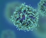 Researchers identify mechanisms that impair the immune system in response to viral infections