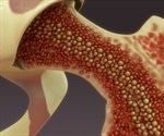 Epigenetics key to daily production of 10 billion blood cells without mistakes