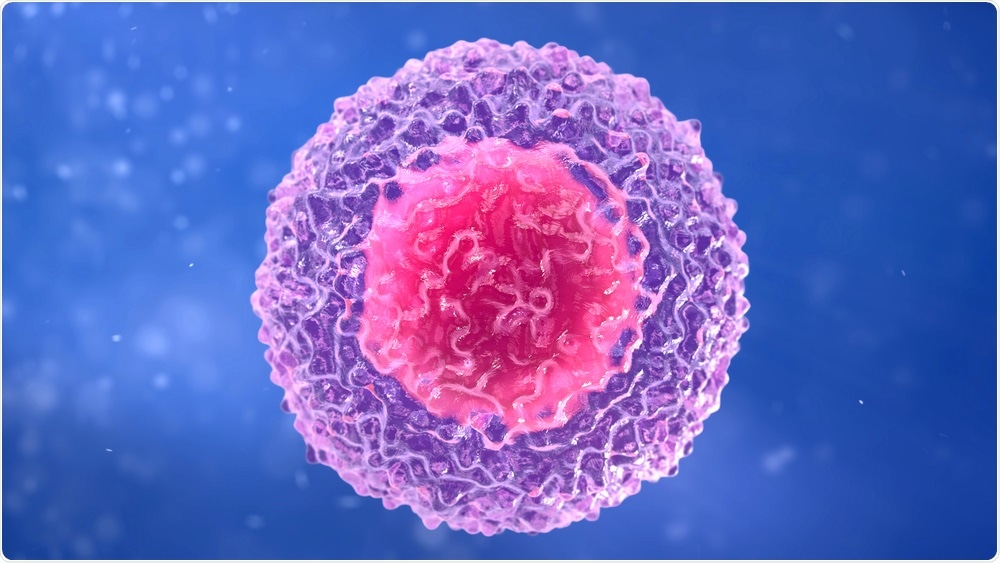 T Cell T Cell