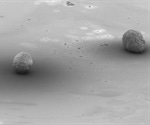 Researchers use 3D printing to produce cardiomyocytes from stem cells