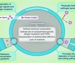 Researchers determine how prokaryotic and single-celled origins contribute to human evolution