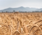 Genomic study can advance wheat research and breeding